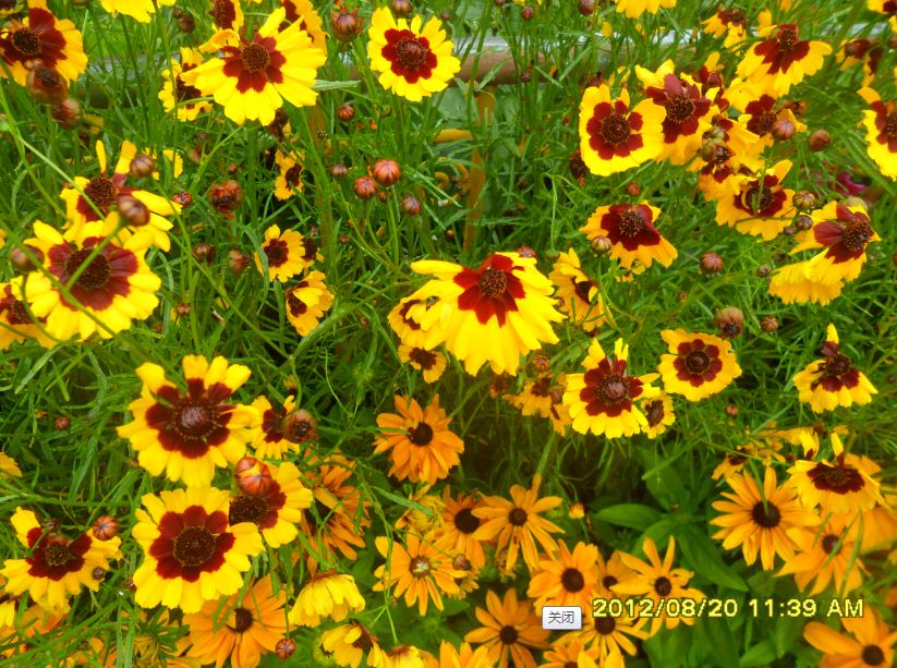 �������ߣ�����20�գ�