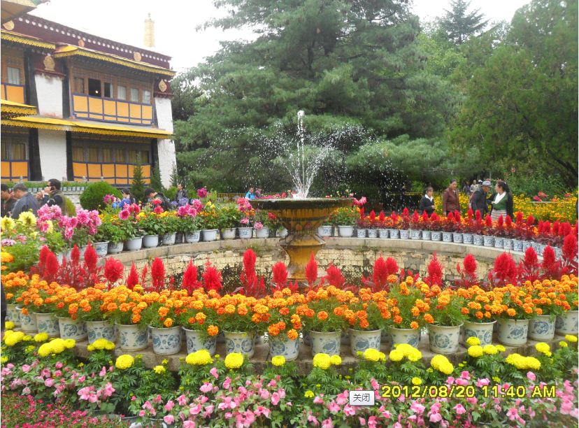 �������ߣ�����20�գ�