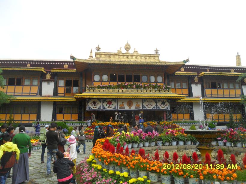 �������ߣ�����20�գ�