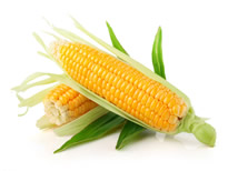 ���׾��ã�����������Դ�����������ײ�ҵ��չ����