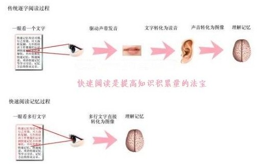 当你不想学习的时候,来看看大脑是如何想的《摘抄与所想》