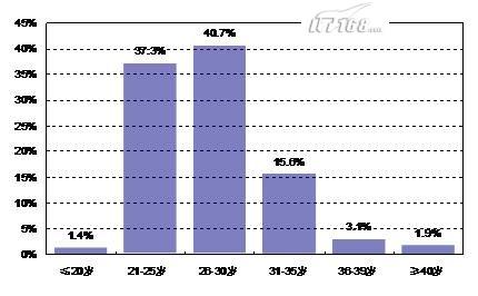 2007-2008�й�ITרҵ��Ա��״�����㱨(ת)