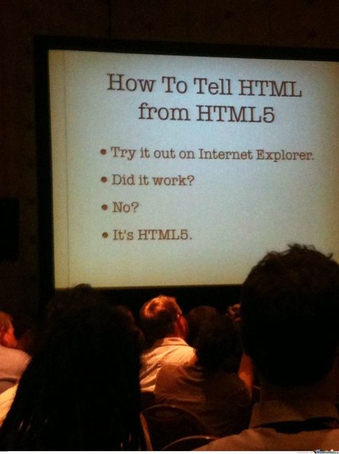 ����Ա����IE�������ʲô����