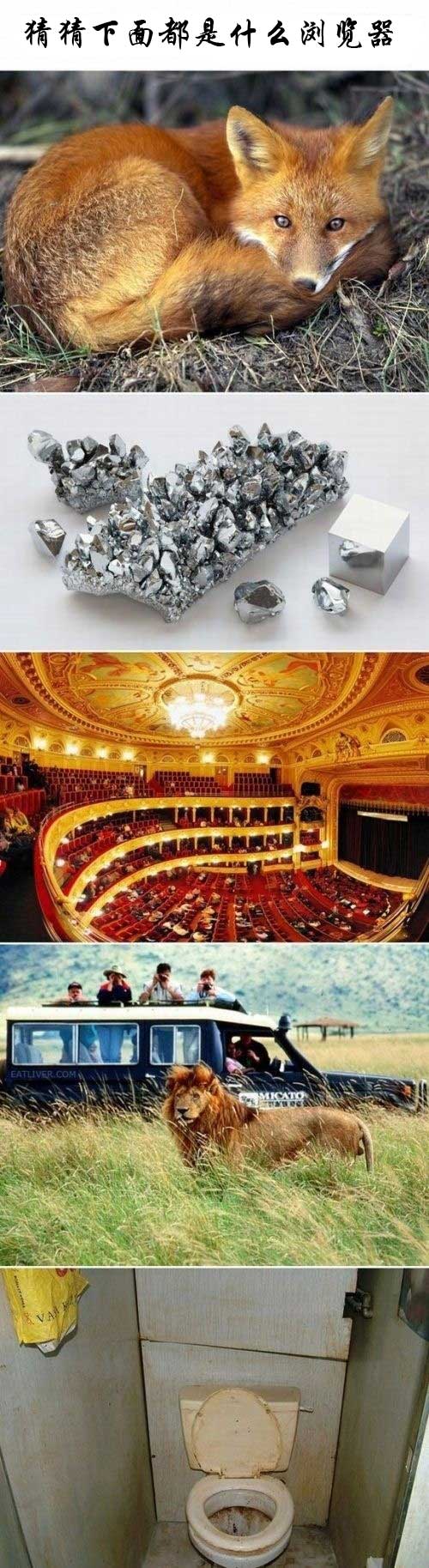 ����Ա����IE�������ʲô����