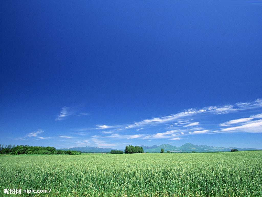 ��ѧ֮·(��)-����ѧϰ(3)-����ѧϰ�㷨-�������ƶ�(4)