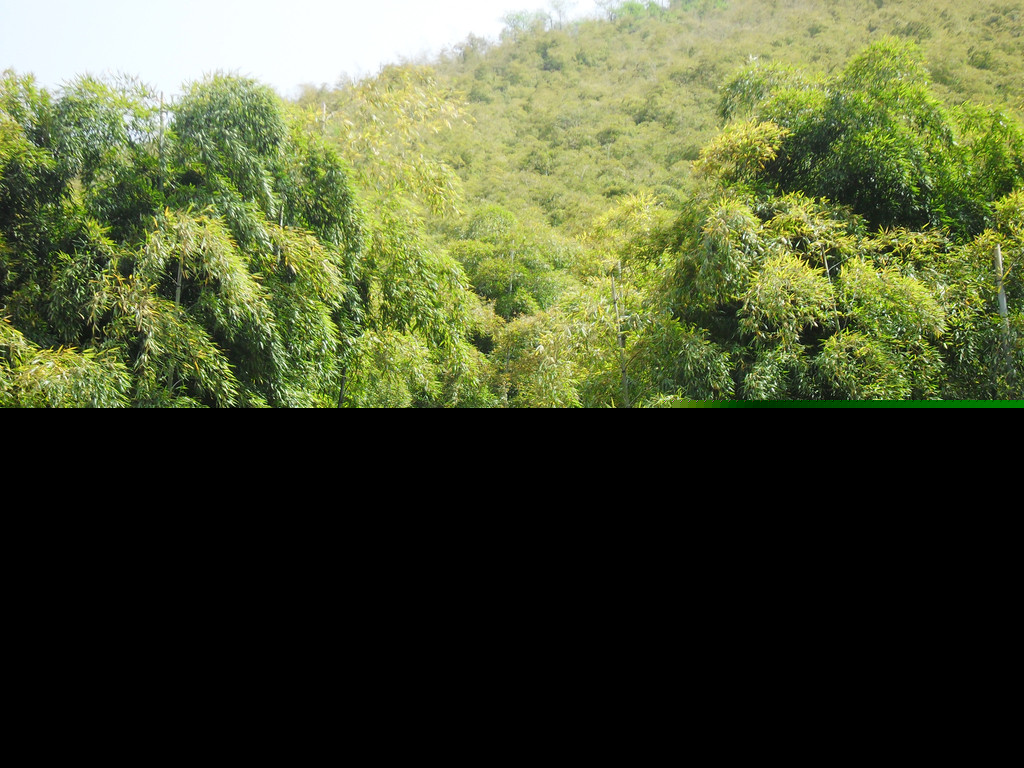 ��ѧ֮·(��)-����ѧϰ(3)-����ѧϰ�㷨-�������ƶ�(4)