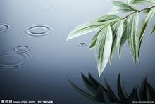 ��λ���֡�͵������С���ҵ���ɡ