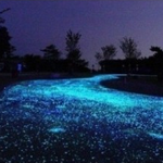 ����+�Ƽ� ��·Ҳ���Ժ���������