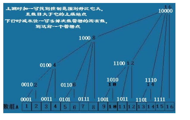 ��״����ѧϰ�ܽ�