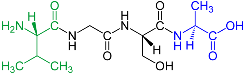 ����Cancer)�����Ĳ�����