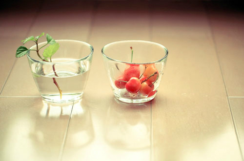 ��ЩС�����Ƕ����������ഺ������