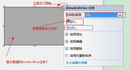 DataGridView���Խ���