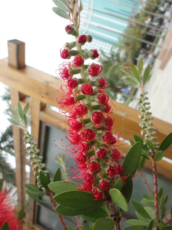 ���������۷羰���������