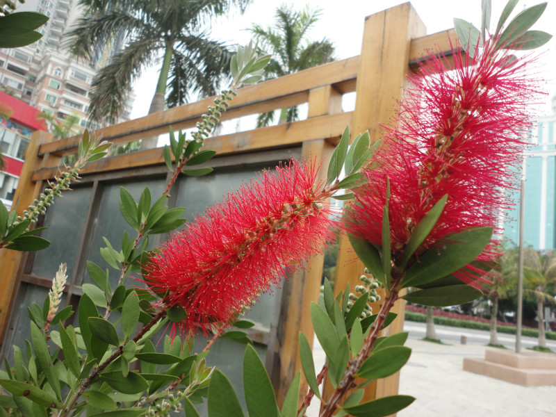 ���������۷羰���������