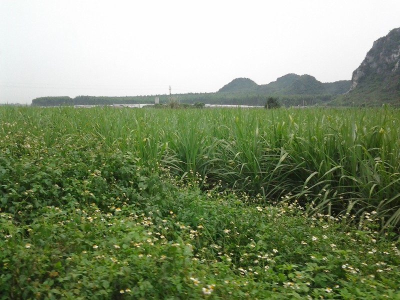 ���������۷羰���������