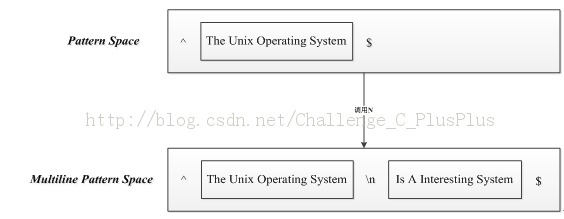 ����Sed����