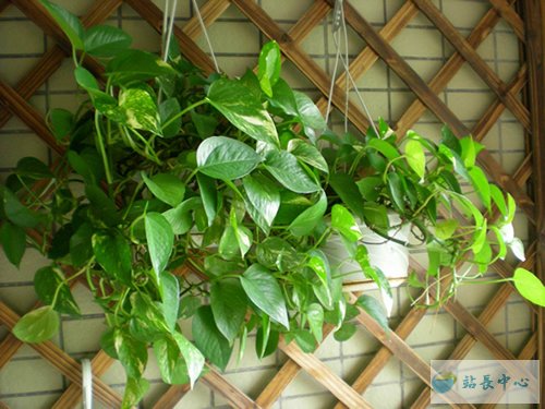 ��վ���ݰٶȲ���¼������һ�������²���