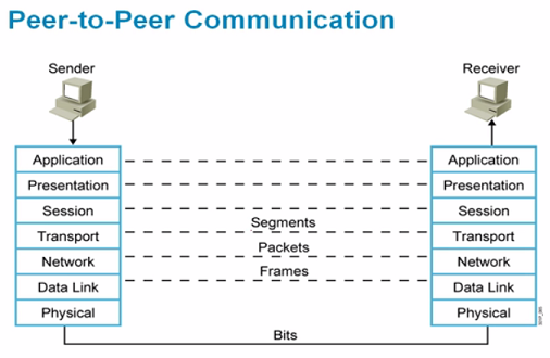 OSI �߲�ģ�� ����