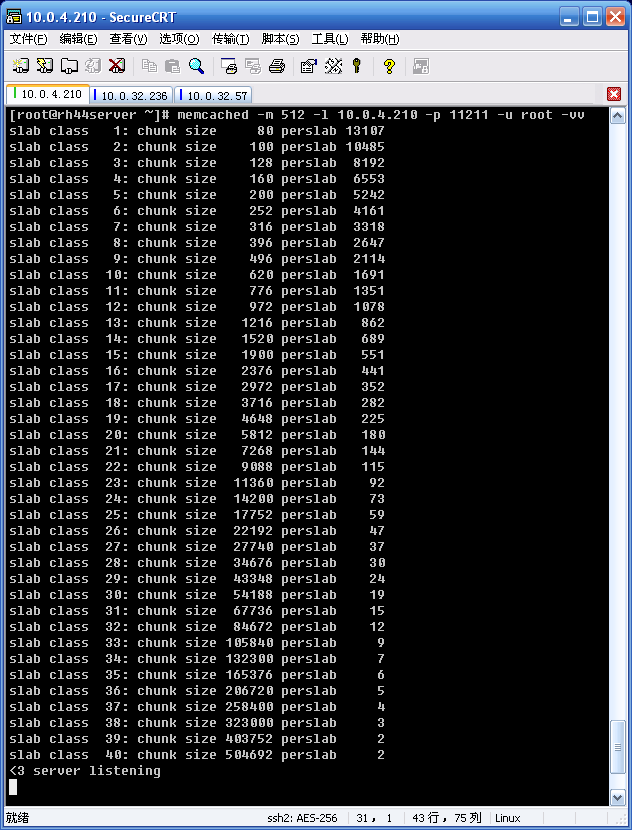 Memcached ڴ洢