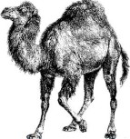 ��һ��ͼ���˽⿪Դ����