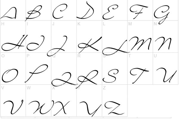 ʦ׼ 15 ʵ