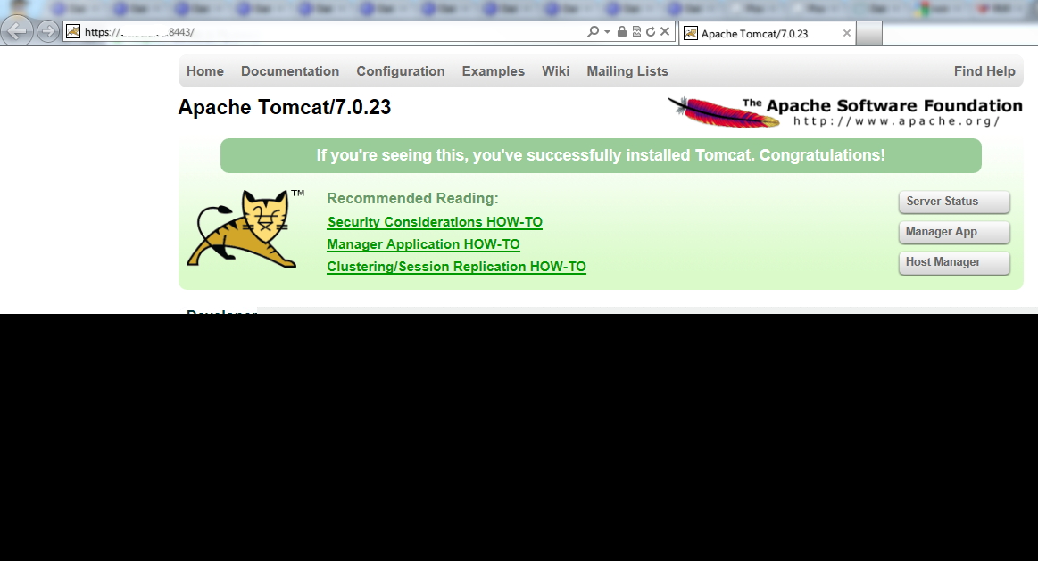 Tomcat   SSL