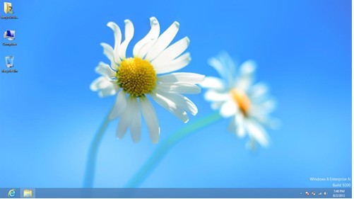 Windows �� ��ʽ�������