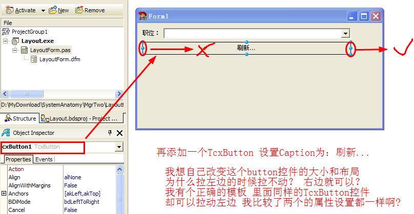 ����TdxLayoutControl���й�����