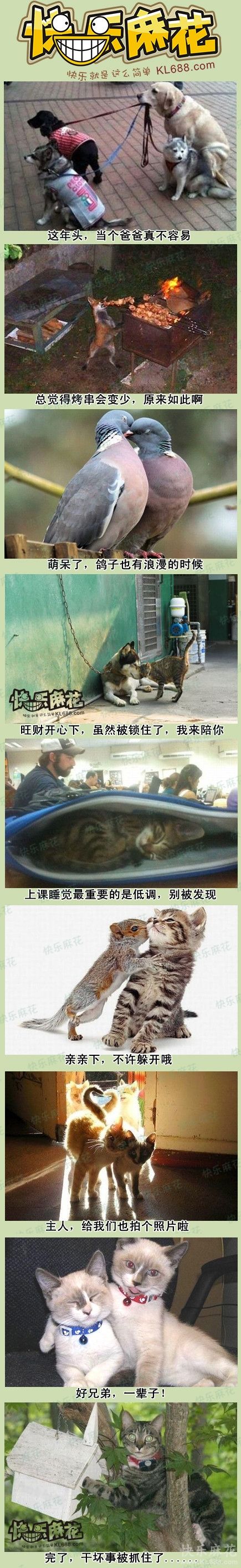 û��ʲô���ף�Ҳ�������ˡ�����һ�£�ɢ�֡�