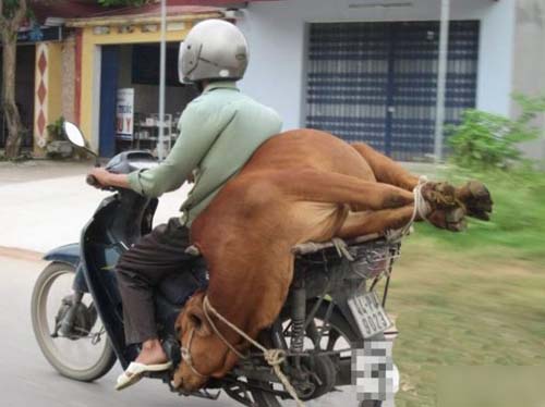 û��ʲô���ף�Ҳ�������ˡ�����һ�£�ɢ�֡�