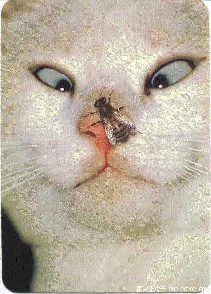 û��ʲô���ף�Ҳ�������ˡ�����һ�£�ɢ�֡�