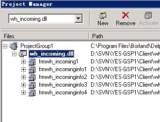 ��������������й�������û�м�������dll��form������ȴ����uses
