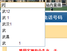 �ڲ�ѯ�����������һЩ�ؼ��־ͻ����һ�������б�����ѡ�������������