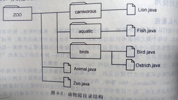 ��ʹ�ñ���������������