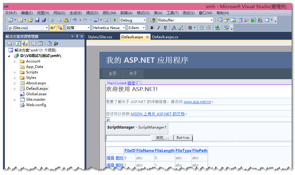 ASP.NET��վ��ô�Ű棿�������й����⣩