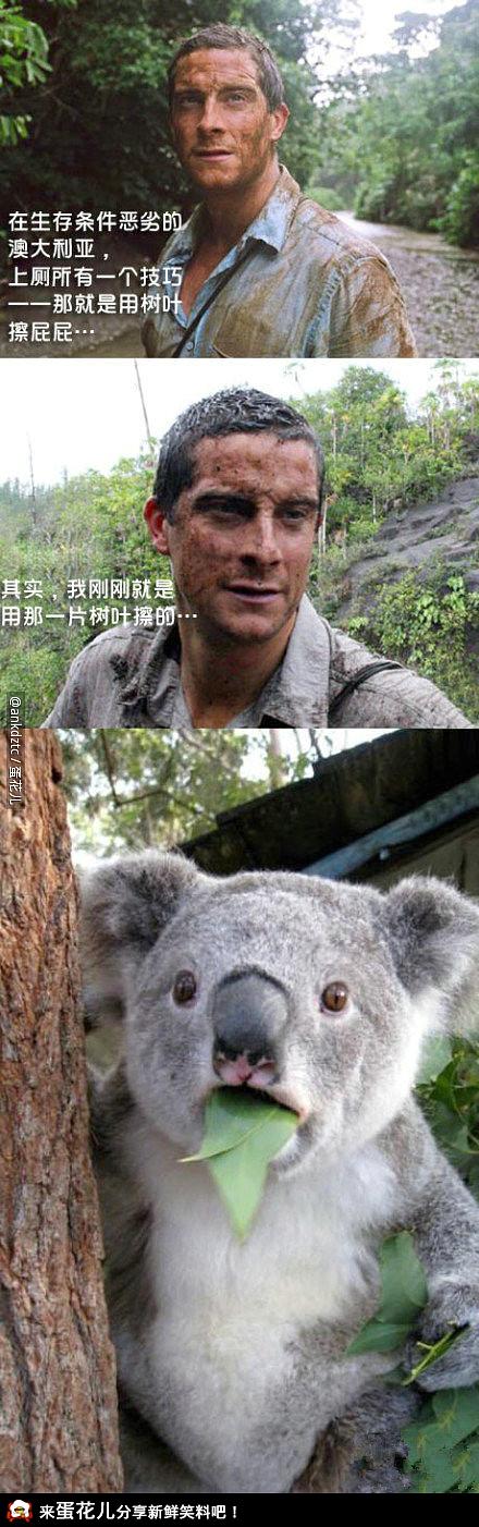 �ֿ���һ���ӻ�Ұ������