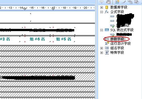 [����]Crystal Reports 2008 (���ƪ)- �����ֶ��������ӱ�������