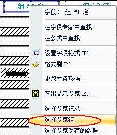 [����]Crystal Reports 2008 (���ƪ)- �����ֶ��������ӱ�������
