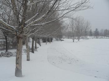 ������ѩ�ô���磬ɢ�ֹ����������