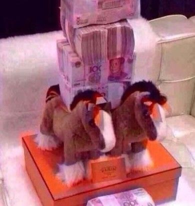 ����һ���ȥ��+++++++++++++++++++++++++++++++ף�ش��Ԫ������