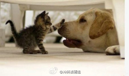 �°�Ч����ɶ��ǿ