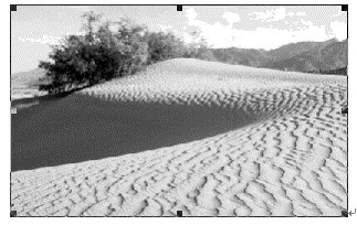 ͼ����ѧϰ�ʼǶ�����bmpλͼƽ��