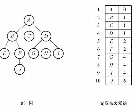 ���������ı任