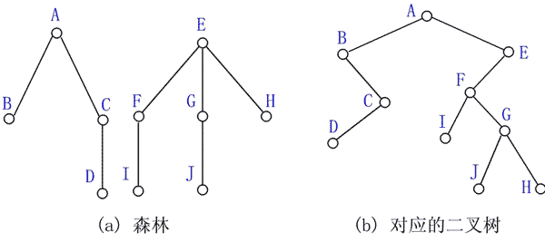 ���������ı任