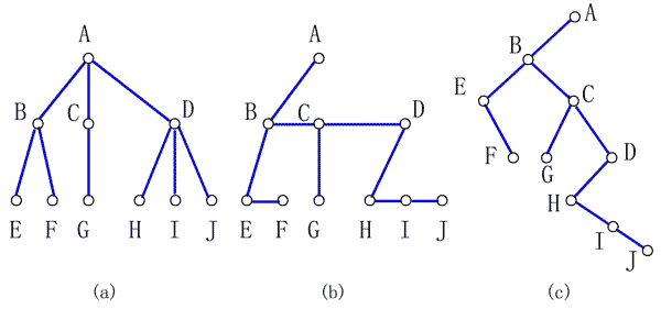 ���������ı任