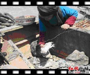 HDU 2187 ׷��512�봨���������ͬ�����������������