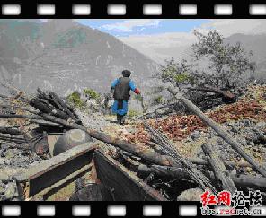 HDU 2187 ׷��512�봨���������ͬ�����������������