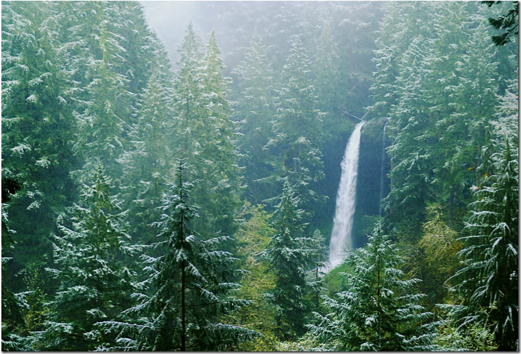 �������������𺶵�ͼƬ��Ч