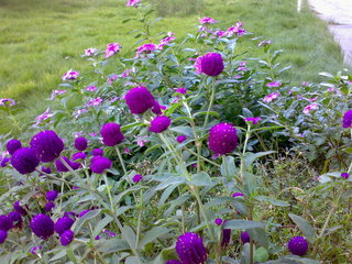 BNU4067�������Ļ���(��Բ�ཻ�����)