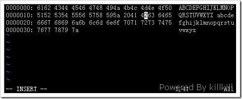 vim+xxd=强大的十六进制编辑器-转,集